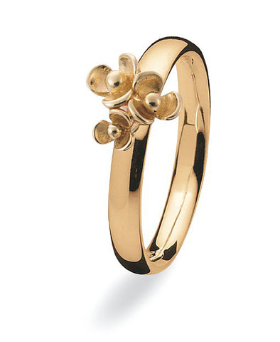 9 carat gold Max ring