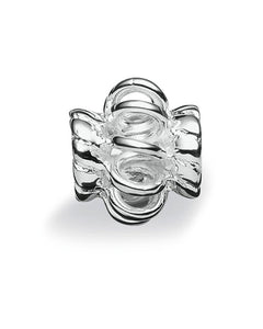 Sterling silver necklace and bracelet charm