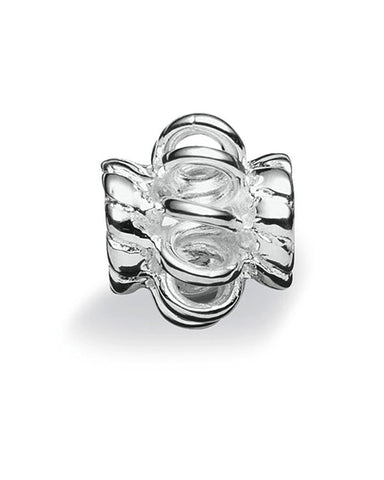 Sterling silver necklace and bracelet charm