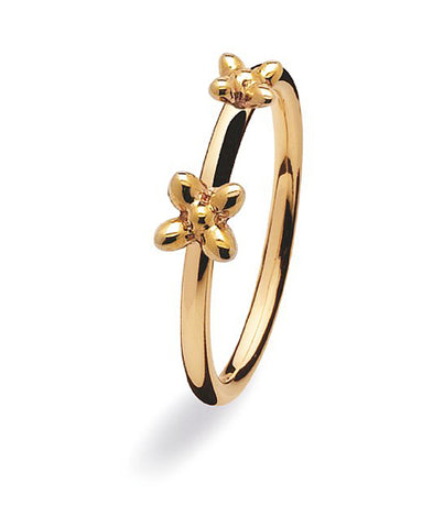 9 carat gold ring with two flower setting