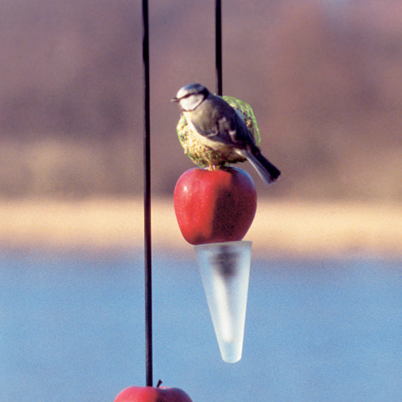 Bird Feeder
